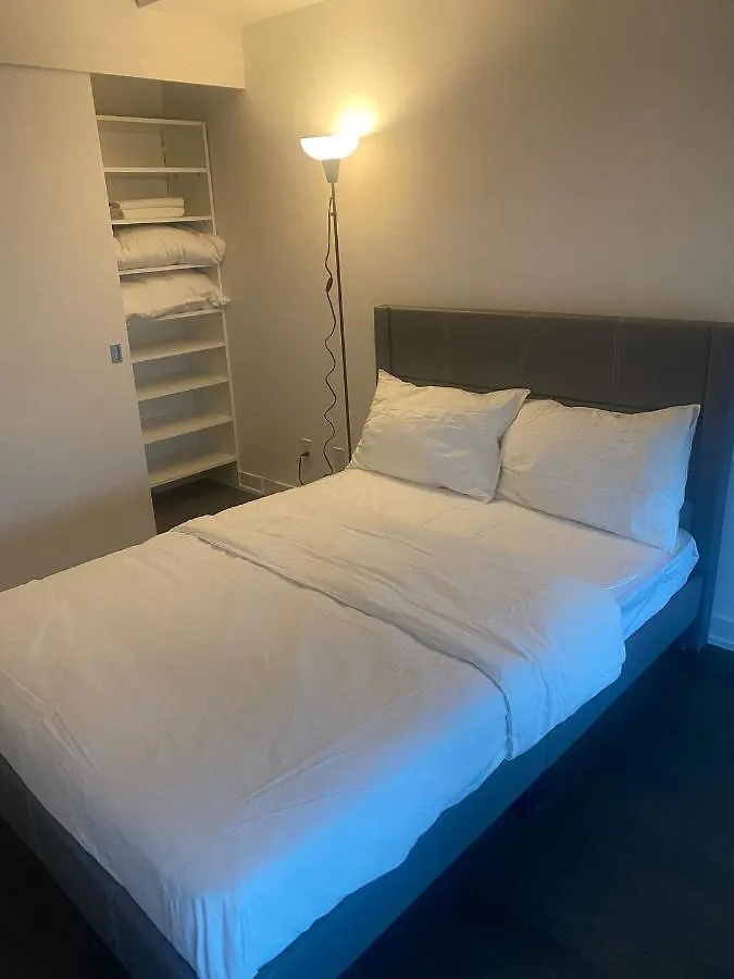 In The Heart Of Downtown Apartment Toronto 0*,